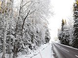 bästa thaimassagen i Åmotfors