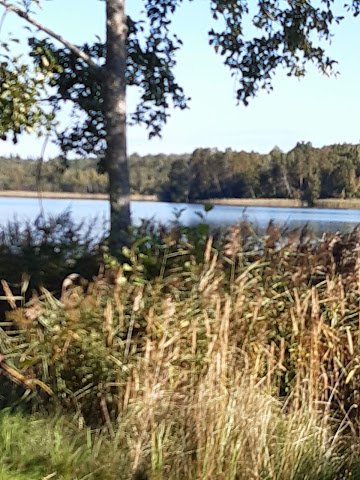 bästa thaimassagen i Aneby