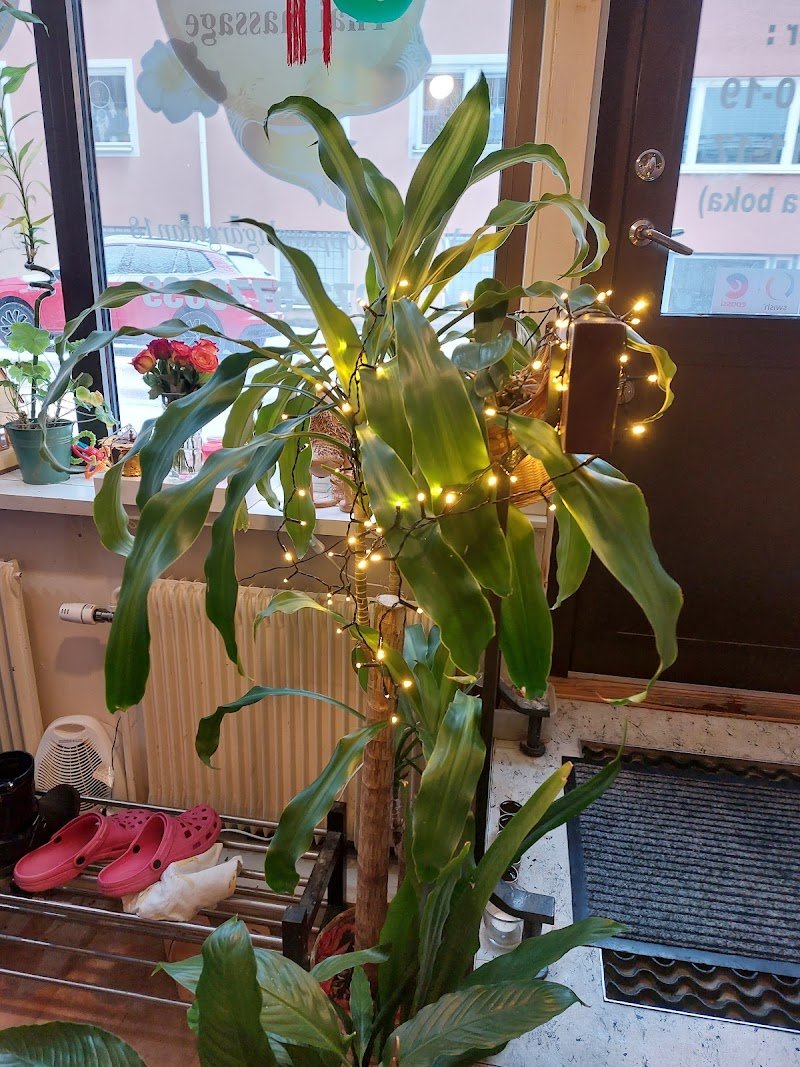 bästa thaimassagen i Gävle