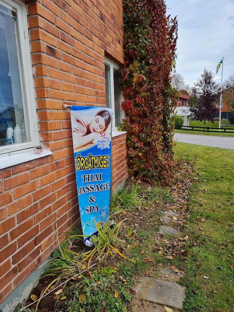 bästa thaimassagen i Örnsköldsvik