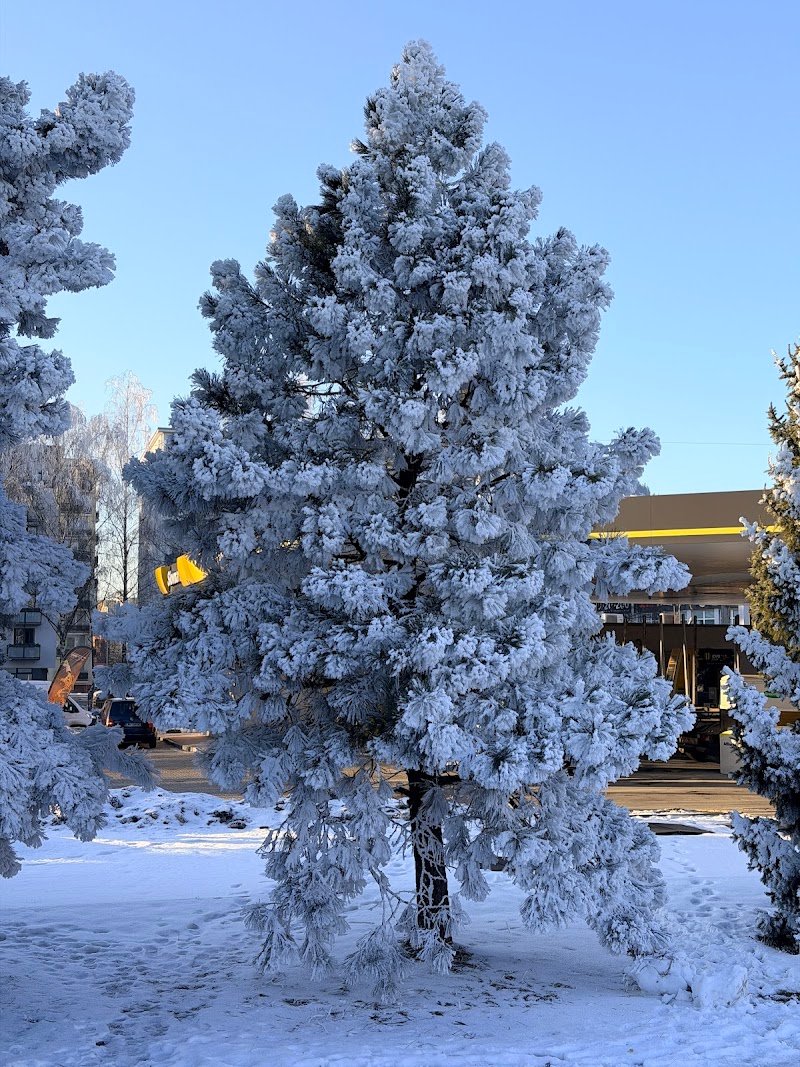 bästa thaimassagen i Nyköping